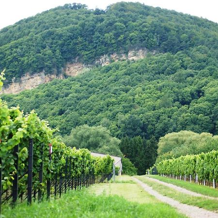 Haus Am Heiner Geissler Platz By Landgasthof Zickler Gleisweiler Zewnętrze zdjęcie